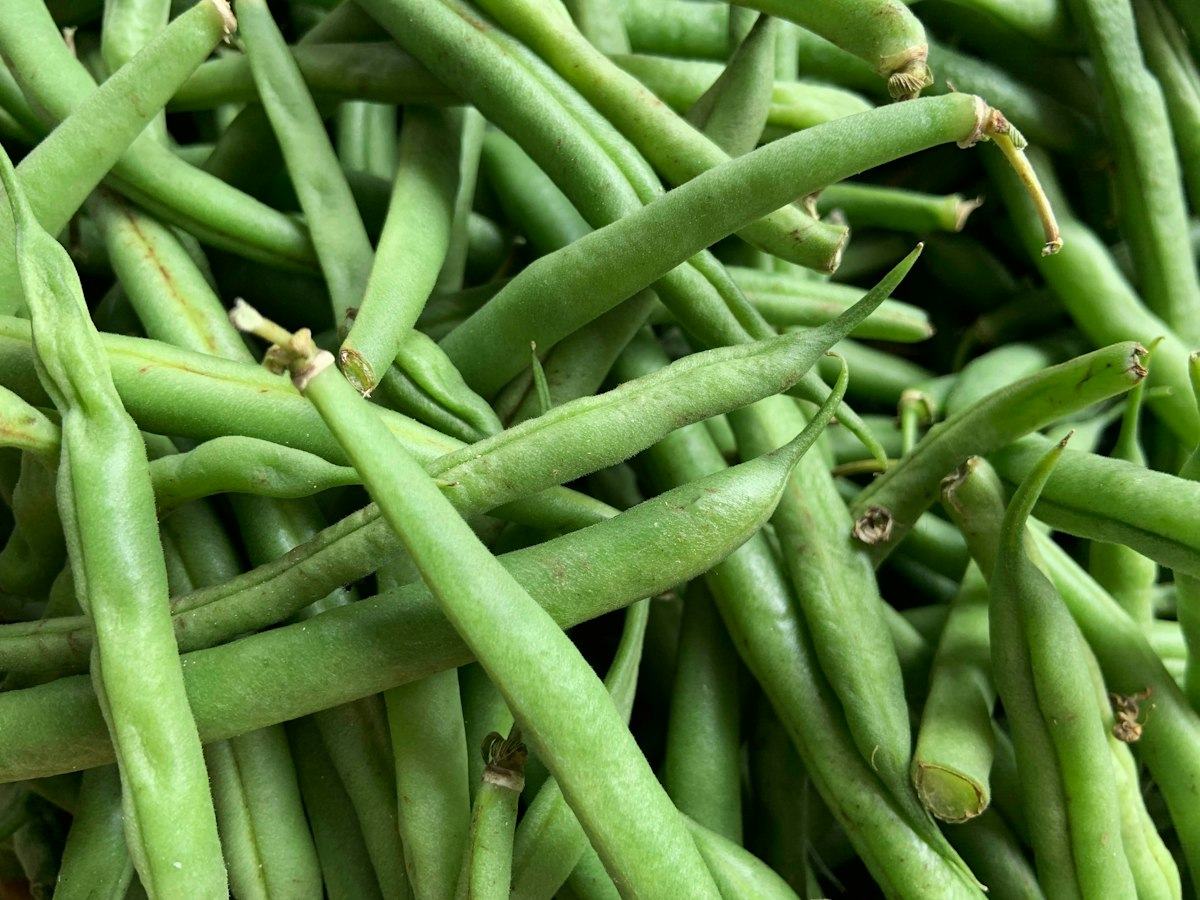 Haricot vert