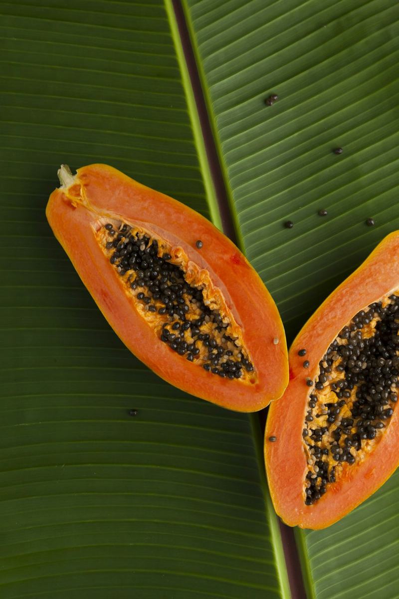 Papaye