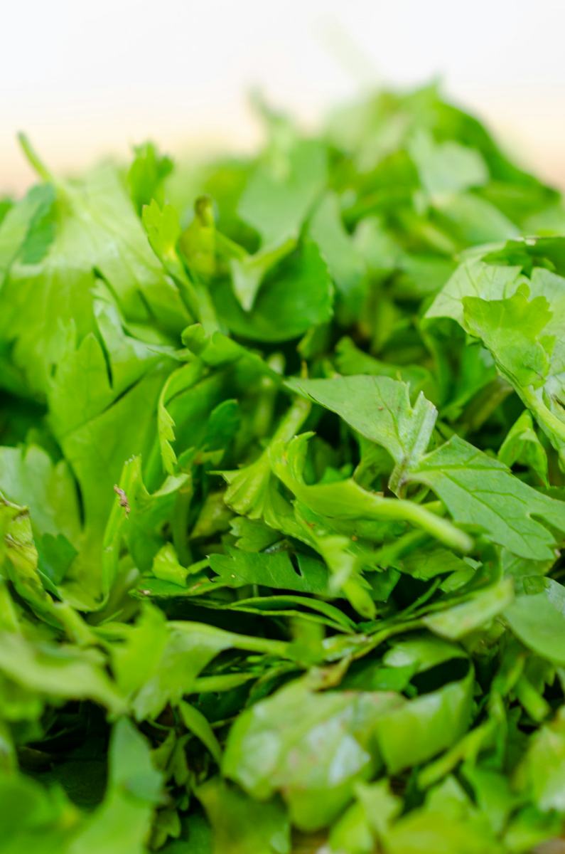 Roquette