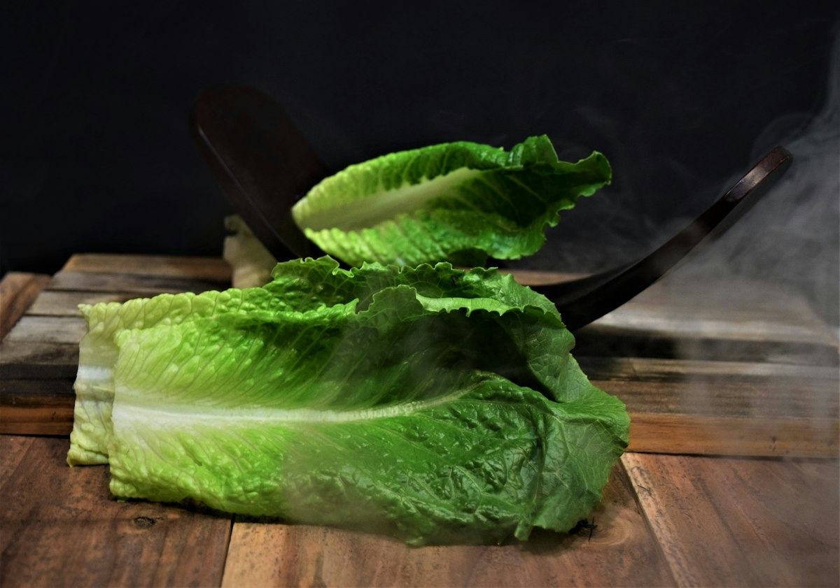 Salade (laitue)
