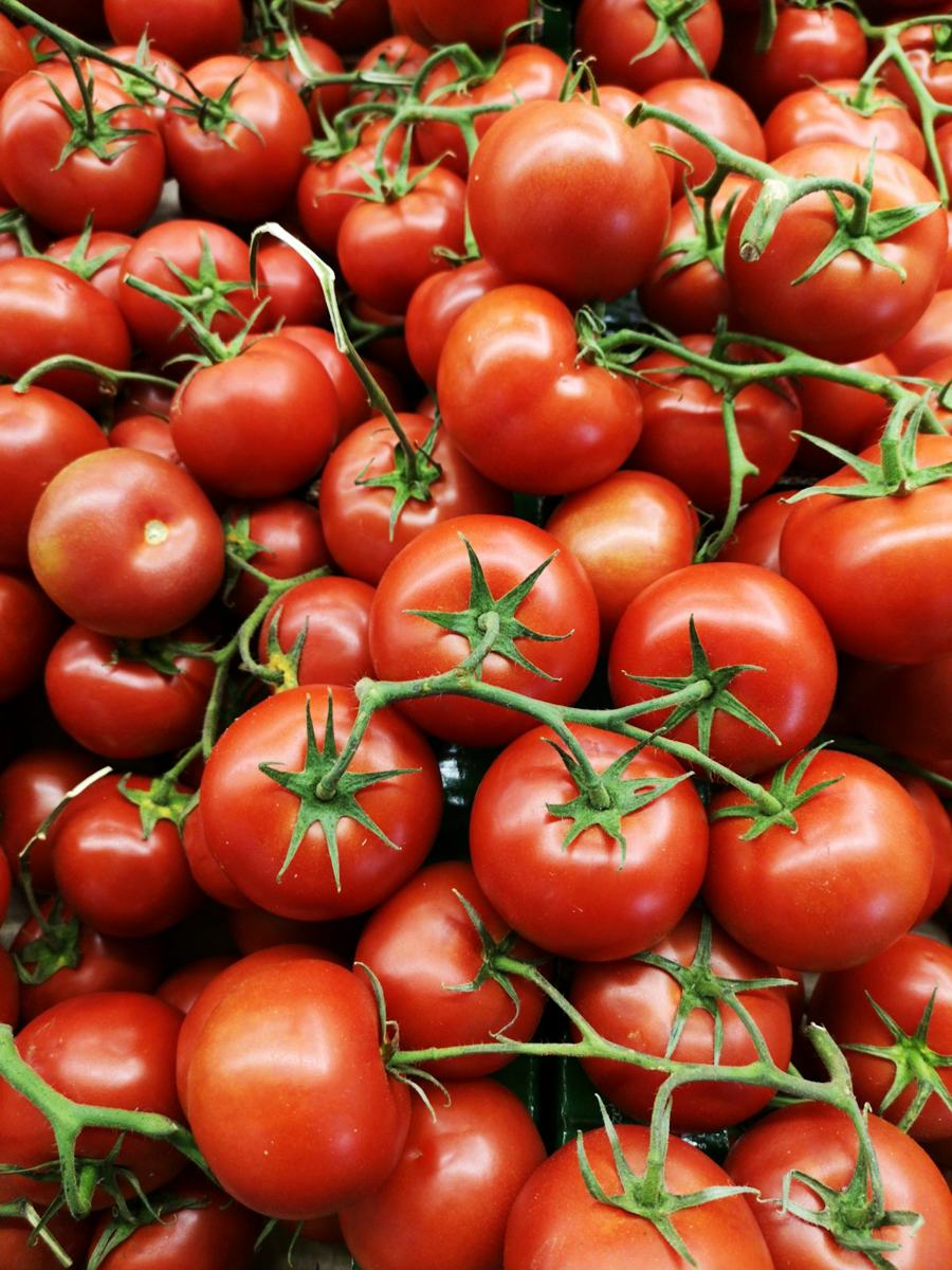 Tomate